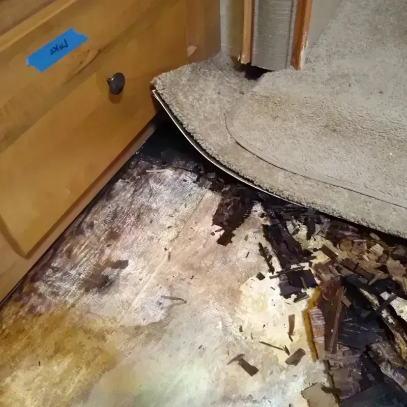 Wood Floor Water Damage in Hancock County, IN